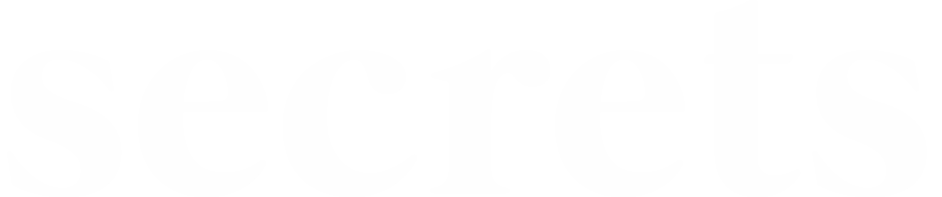 Secrets logo
